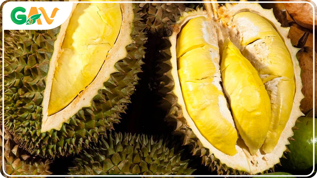 Sau Rae CƠN SỐT SẦU RIÊNG VIỆT NAM Ở TRUNG QUỐC, GIÁ NGANG NGỬA THÁI LAN ...
