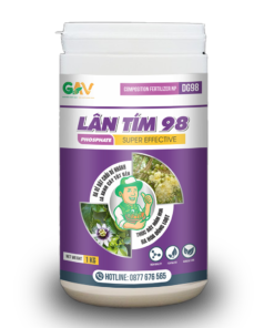 GAV - LÂN TÍM
