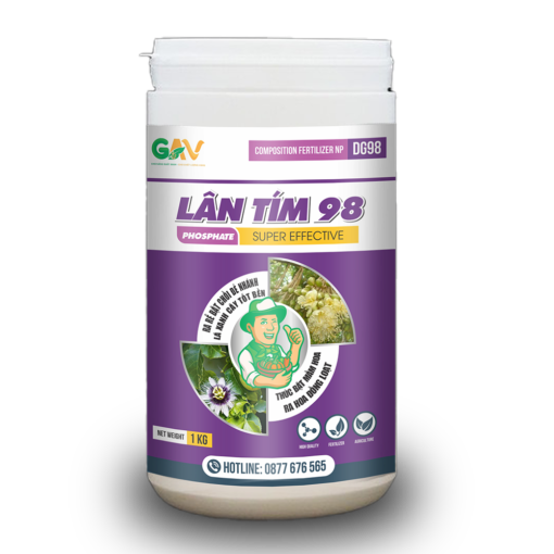 GAV - LÂN TÍM
