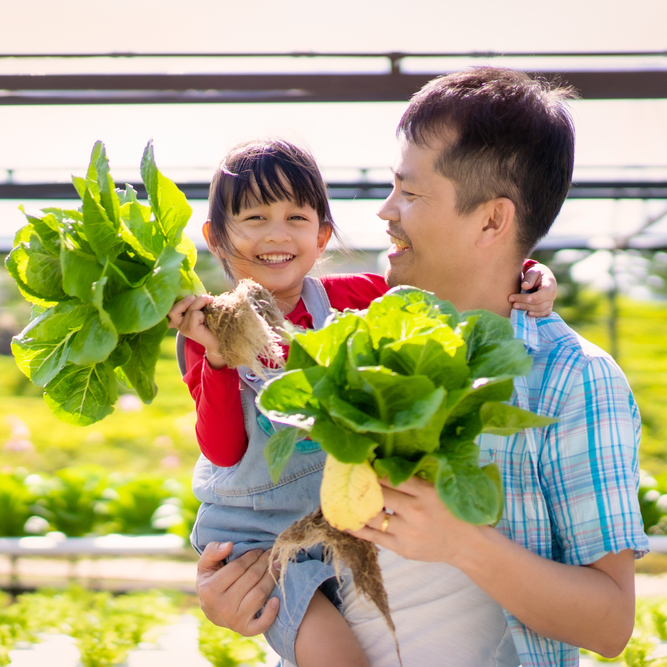 Sứ mệnh - nông nghiệp GAV